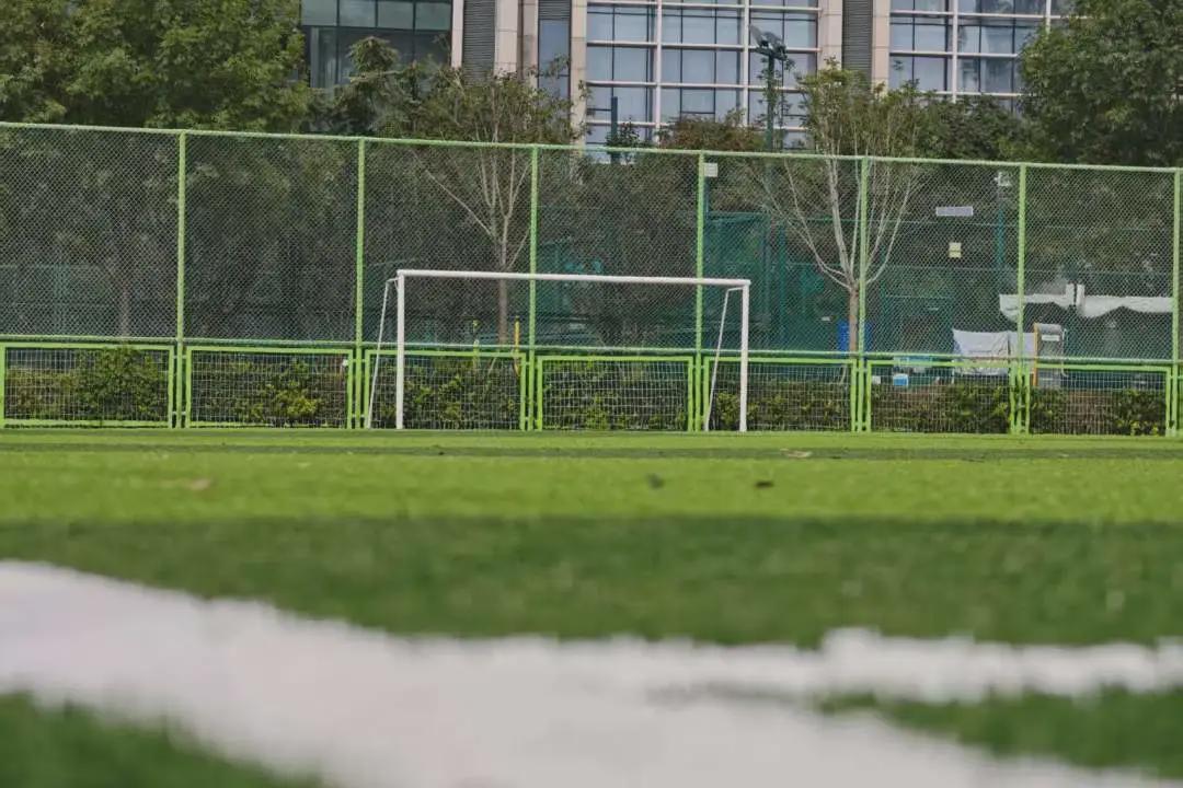 蓝鲸体育官网-天津这个足球场升级！即将对外开放！